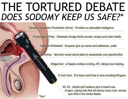 the sodomy as torture debate